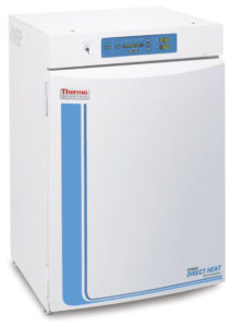 Thermo Forma Ultralow Freezer laboratorio